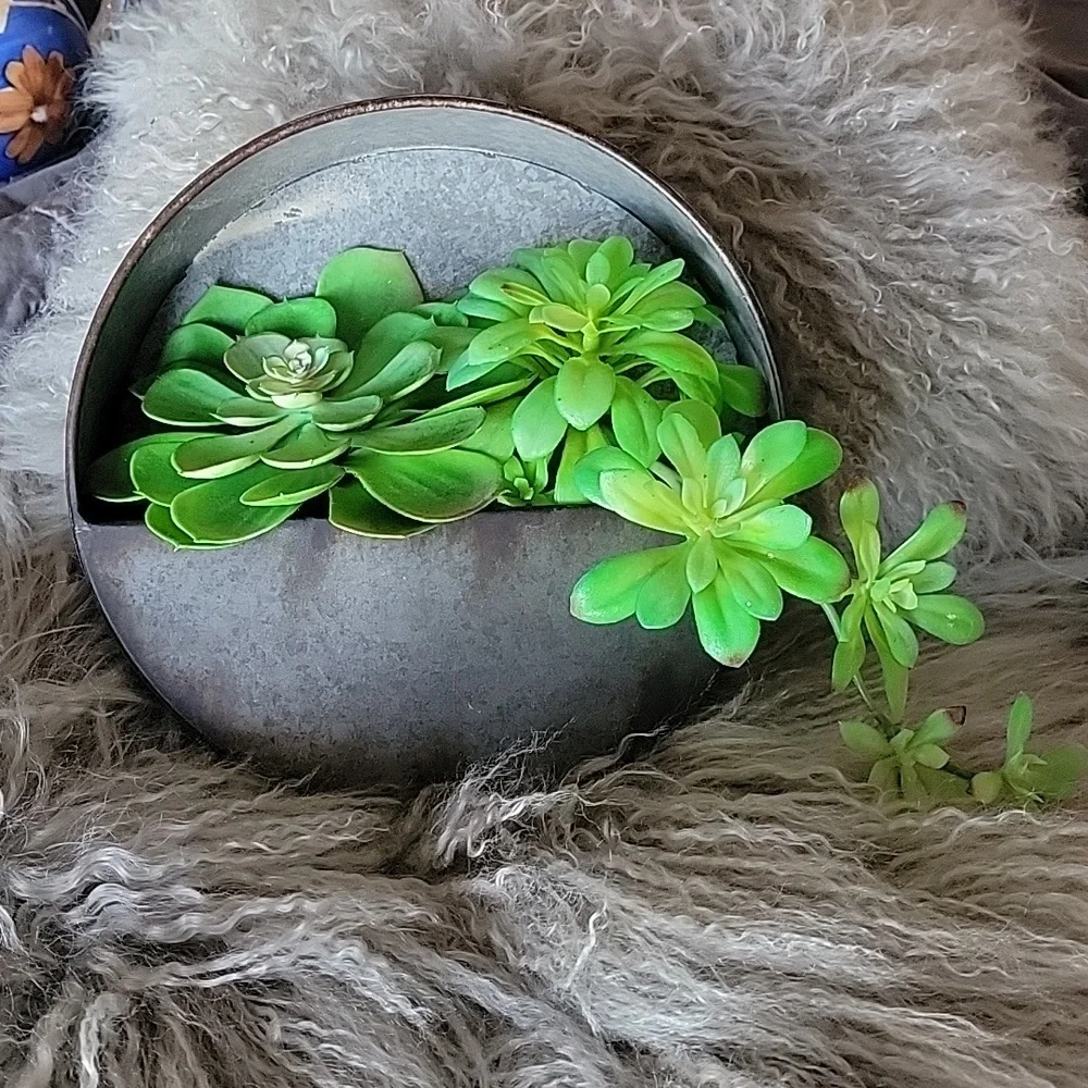 Plant holder